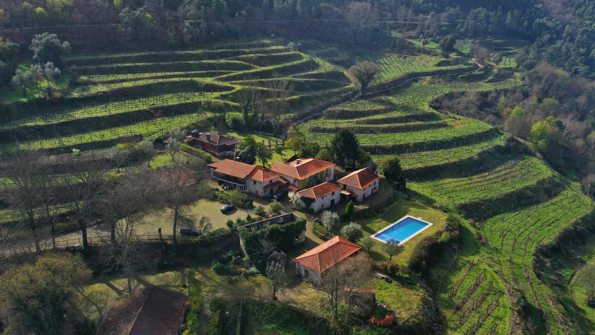 Quinta Da Pousadela - Agroturismo Guest House Amarante Exterior photo