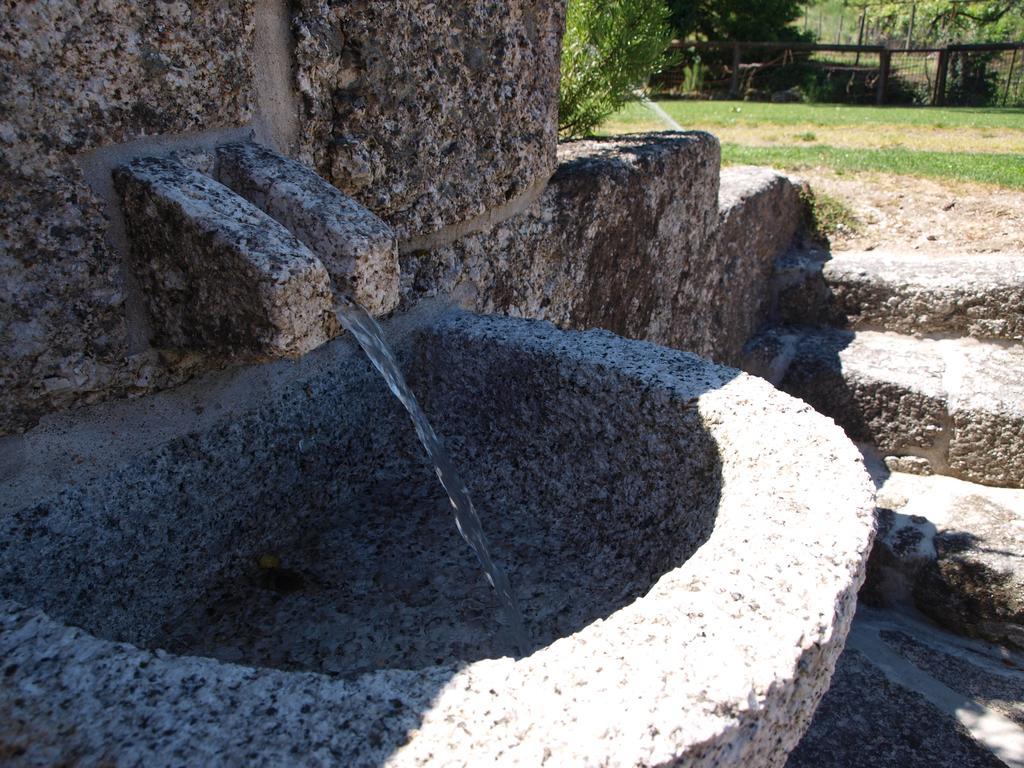 Quinta Da Pousadela - Agroturismo Amarante Exterior photo